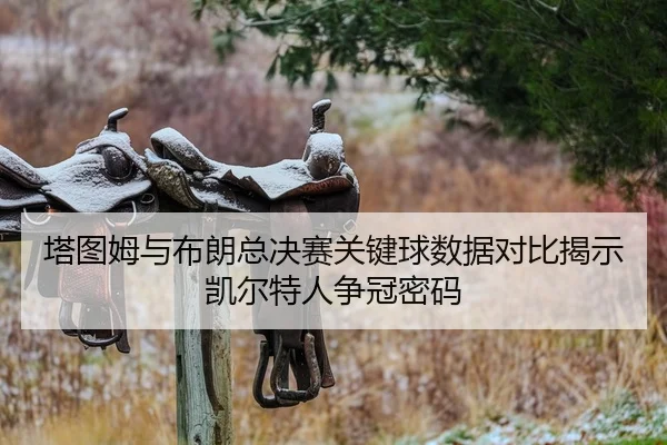 ta-tu-mu-yu-bu-lang-zong-jue-sai-guan-jian-qiu-shu-ju-dui-bi-jie-shi-kai-er-te-ren-zheng-guan-mi-ma-2-270.jpg