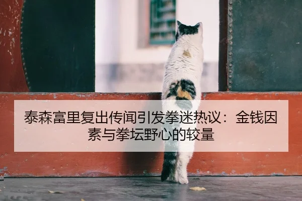 泰森富里复出传闻引发拳迷热议：金钱因素与拳坛野心的较量